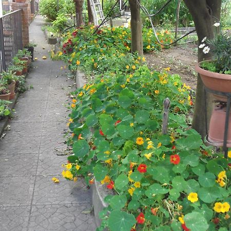 Le Mimose Villa Vietri Buitenkant foto