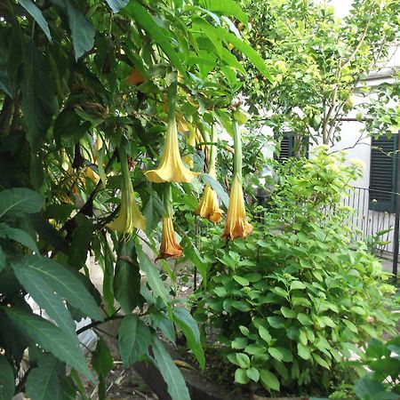 Le Mimose Villa Vietri Buitenkant foto