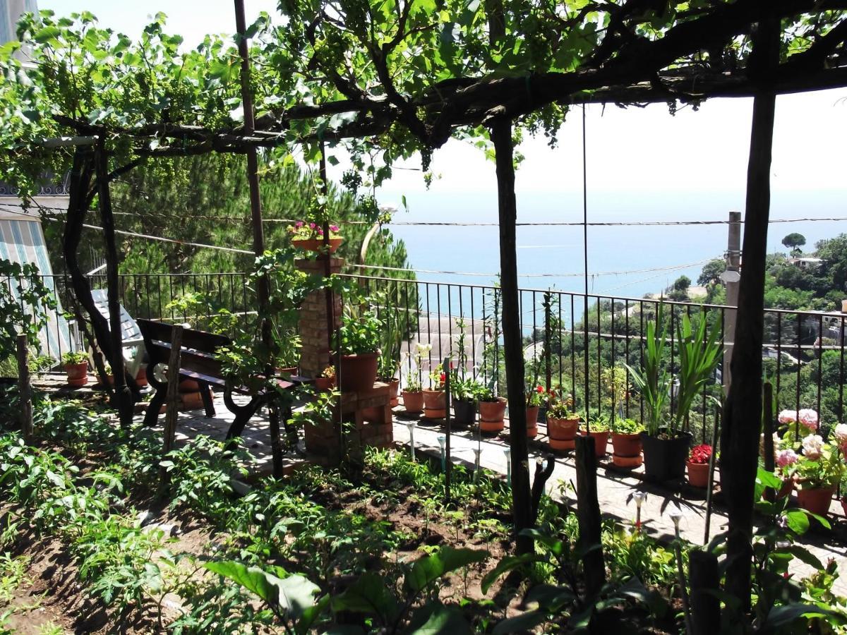 Le Mimose Villa Vietri Buitenkant foto