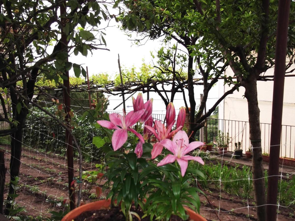 Le Mimose Villa Vietri Buitenkant foto