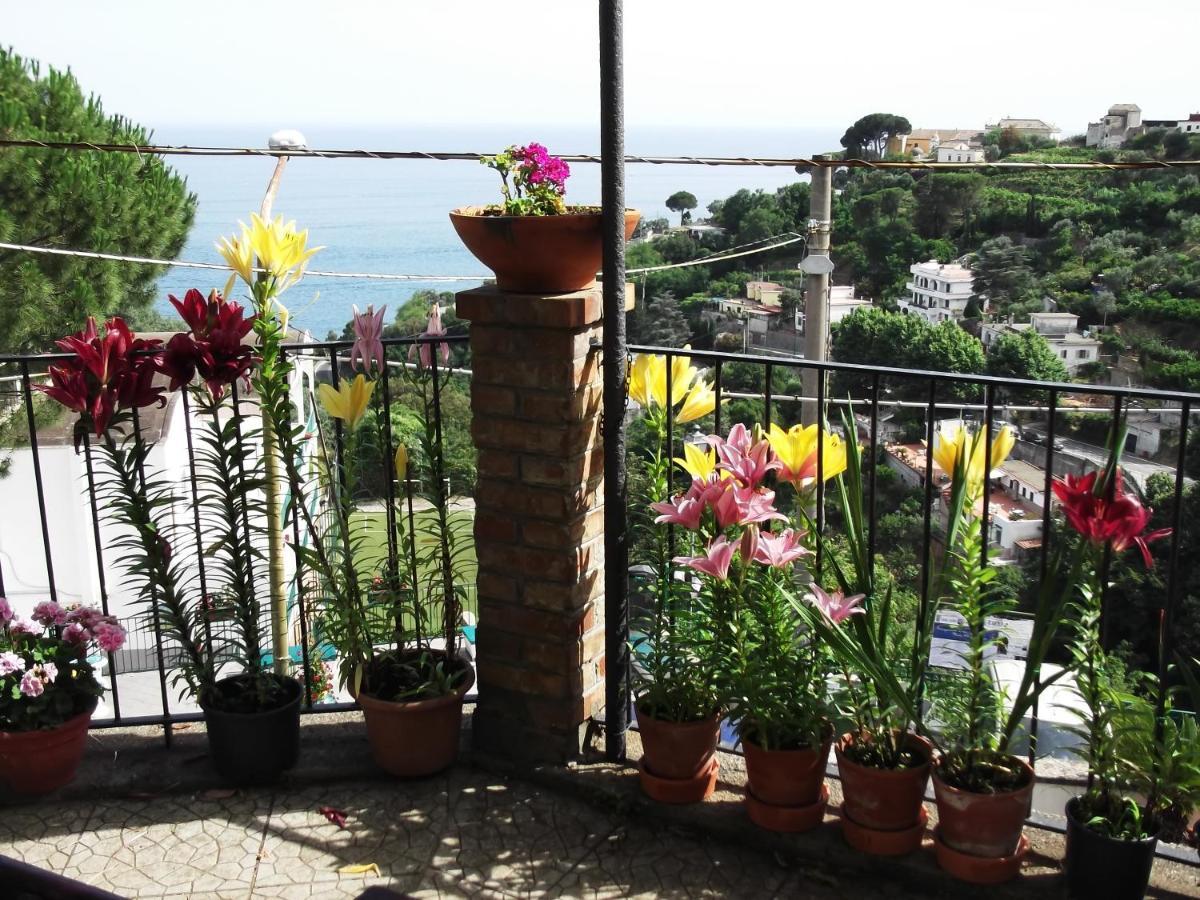 Le Mimose Villa Vietri Buitenkant foto