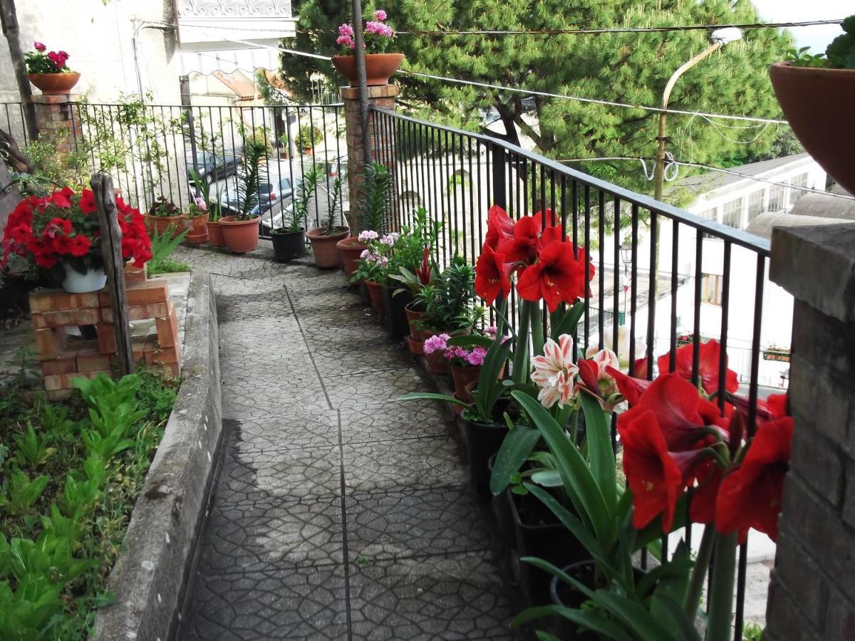 Le Mimose Villa Vietri Buitenkant foto