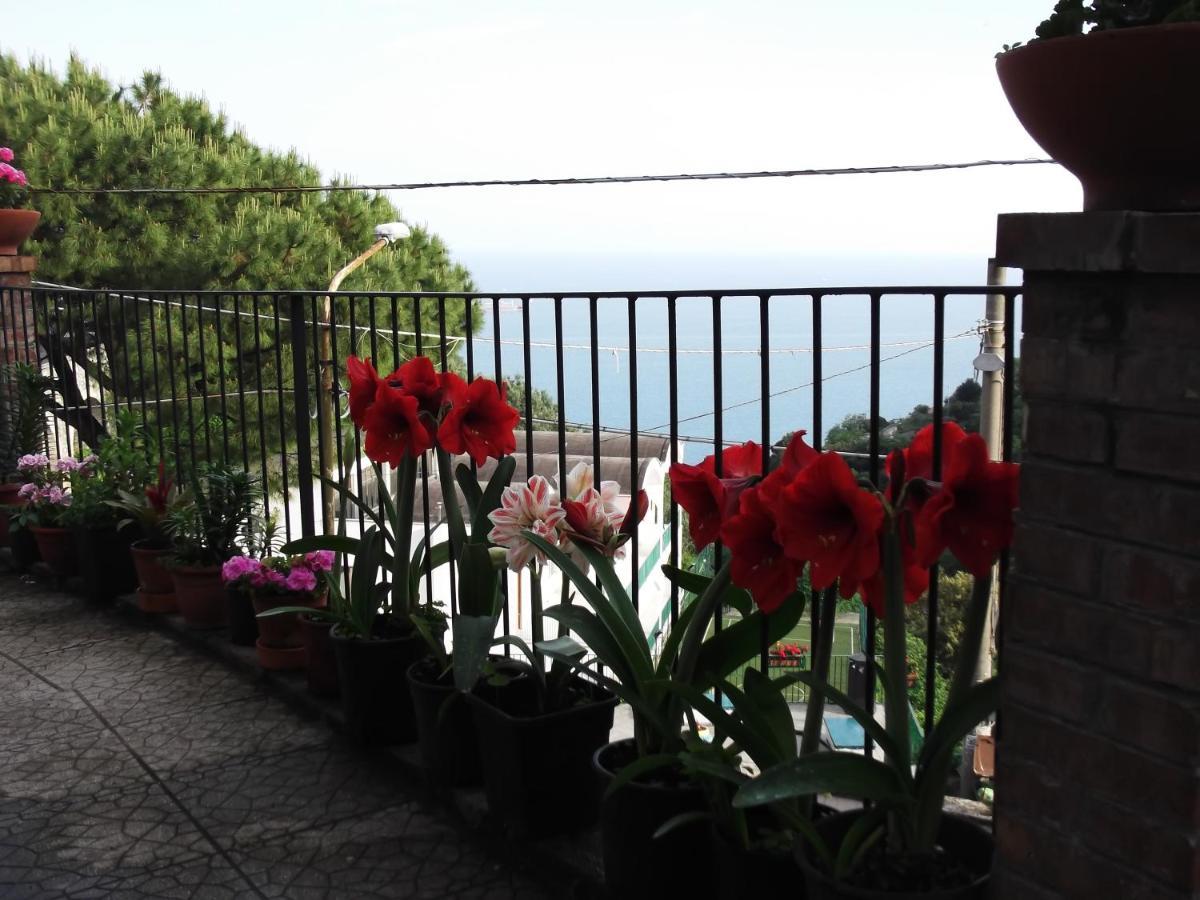 Le Mimose Villa Vietri Buitenkant foto