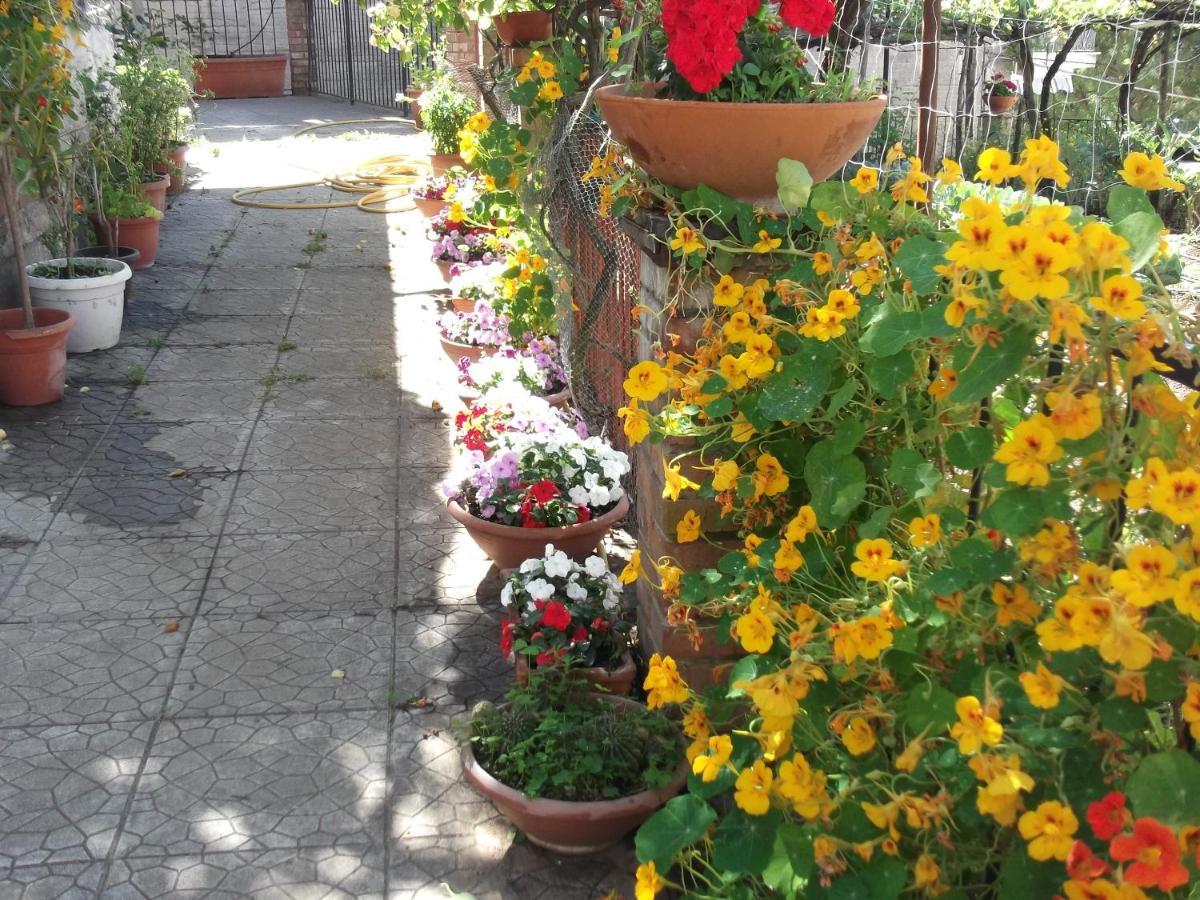 Le Mimose Villa Vietri Buitenkant foto