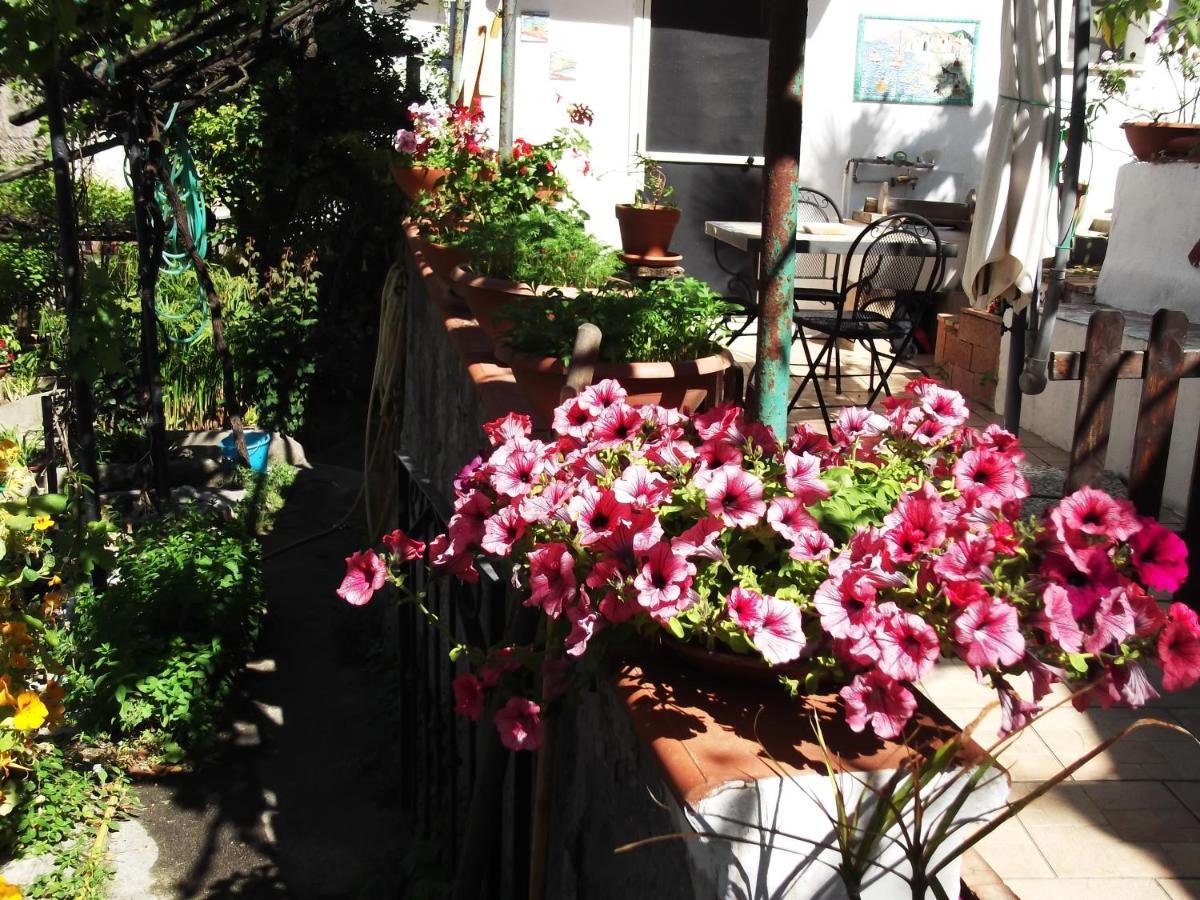 Le Mimose Villa Vietri Buitenkant foto