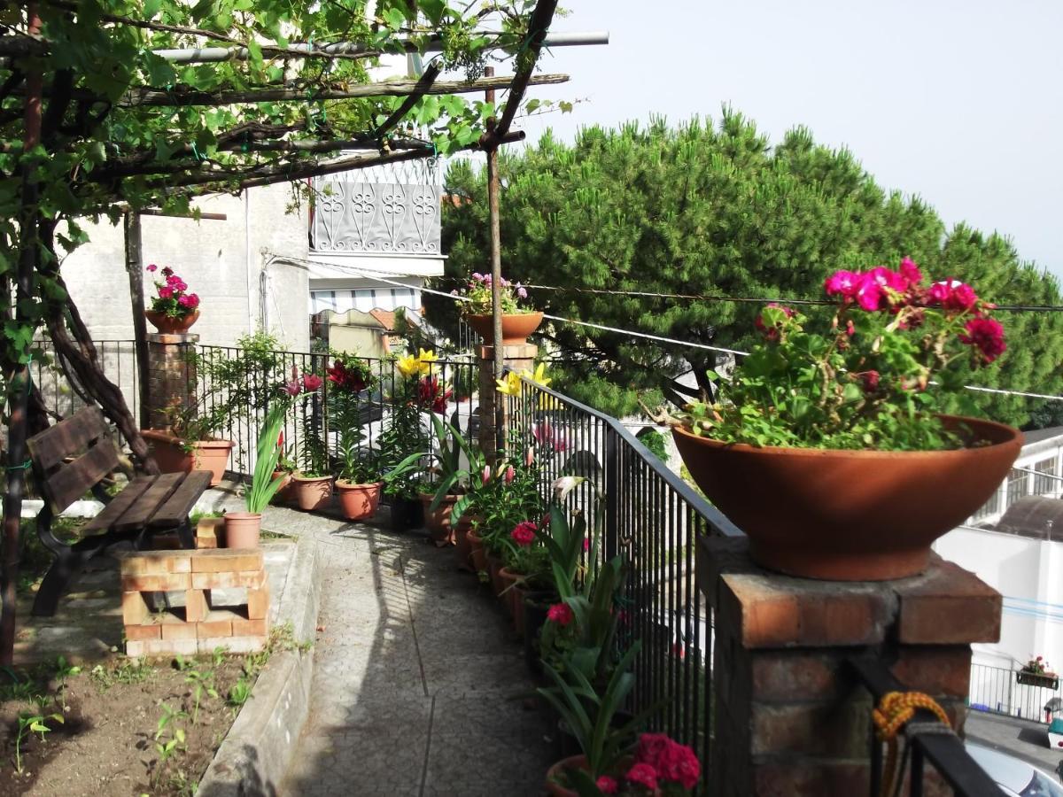 Le Mimose Villa Vietri Buitenkant foto