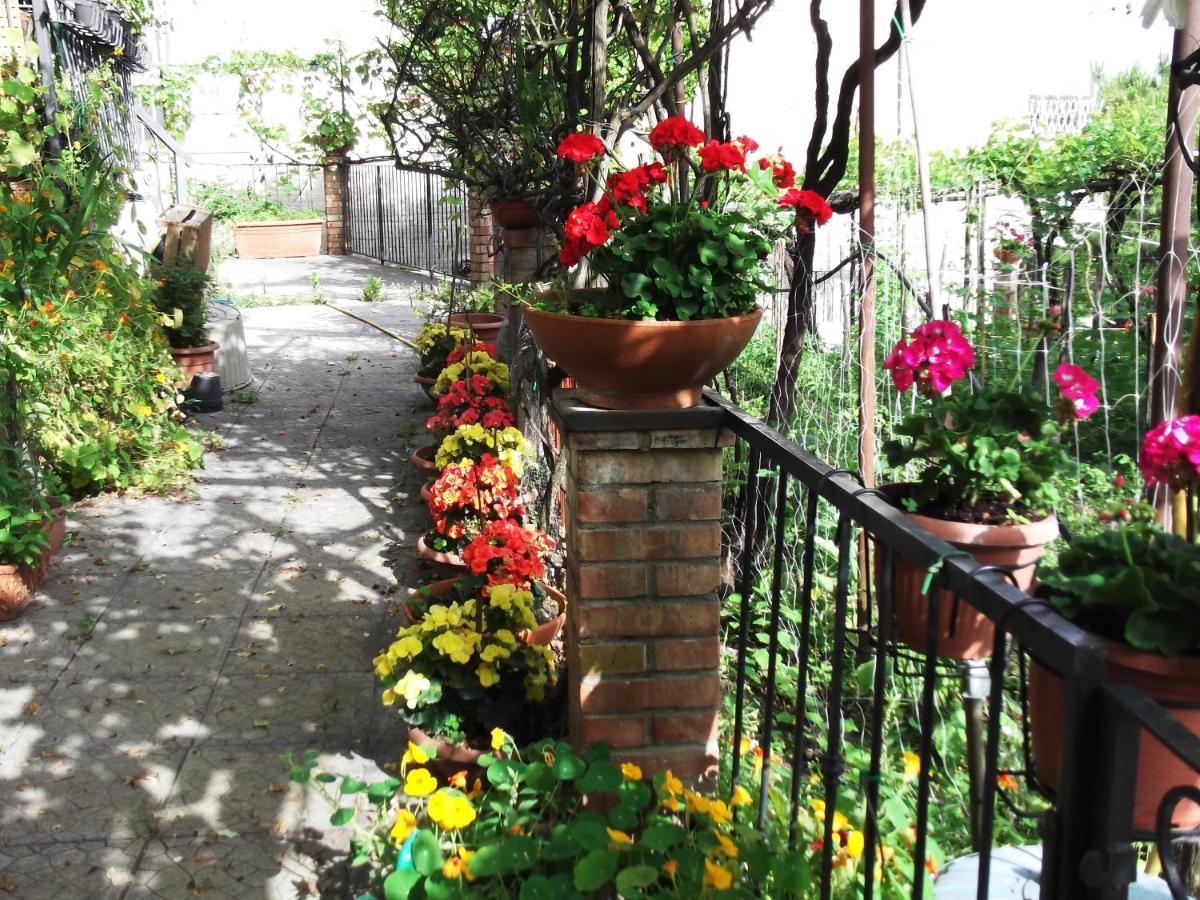 Le Mimose Villa Vietri Buitenkant foto