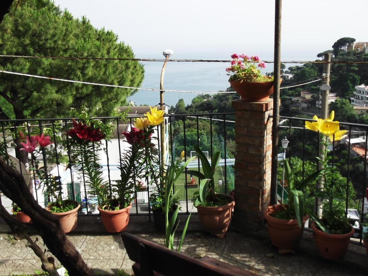 Le Mimose Villa Vietri Buitenkant foto