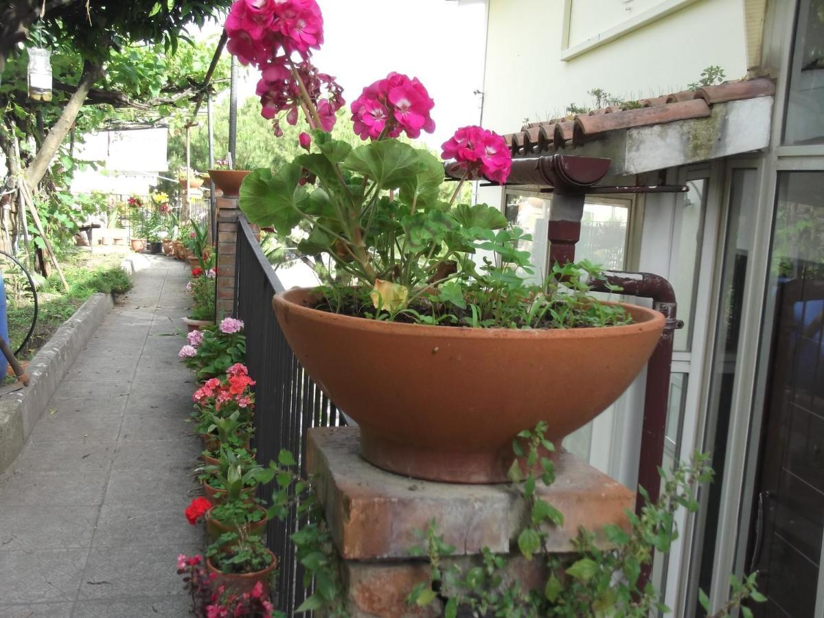Le Mimose Villa Vietri Buitenkant foto
