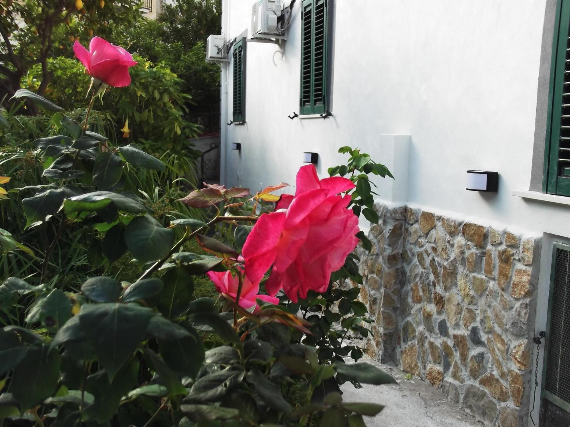 Le Mimose Villa Vietri Buitenkant foto