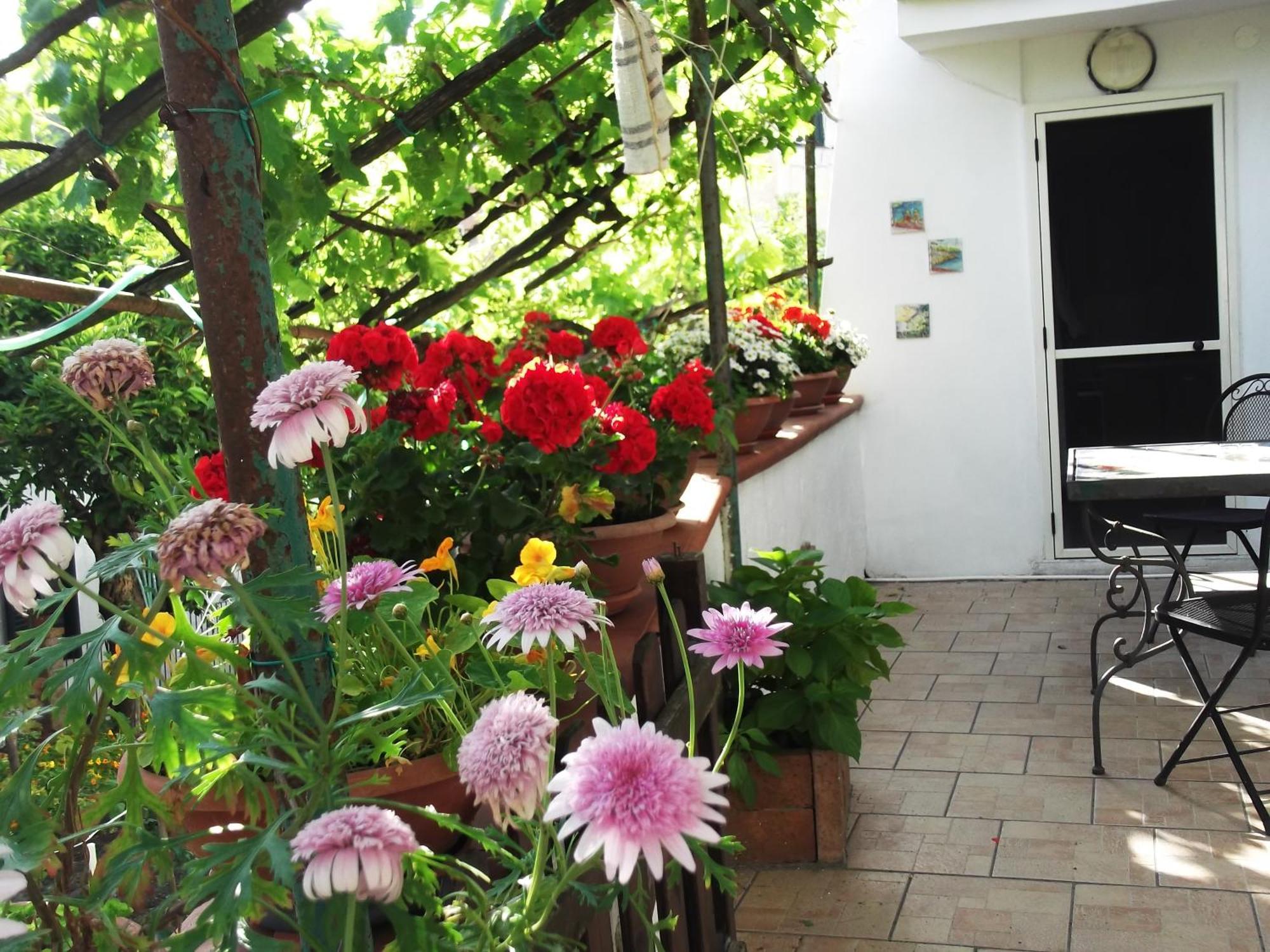 Le Mimose Villa Vietri Buitenkant foto