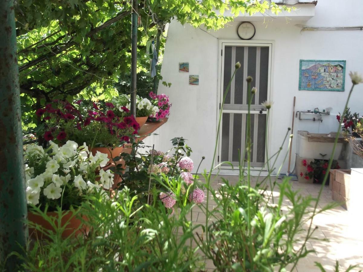 Le Mimose Villa Vietri Buitenkant foto