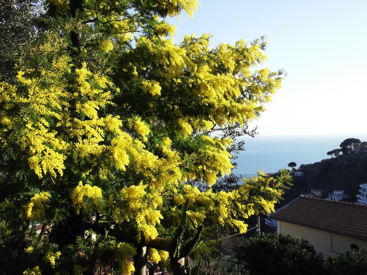 Le Mimose Villa Vietri Buitenkant foto