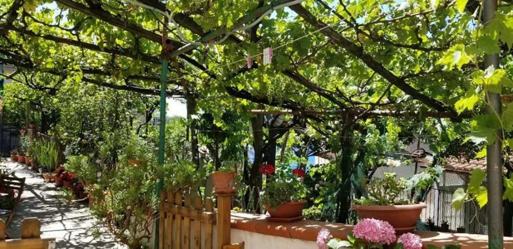 Le Mimose Villa Vietri Buitenkant foto